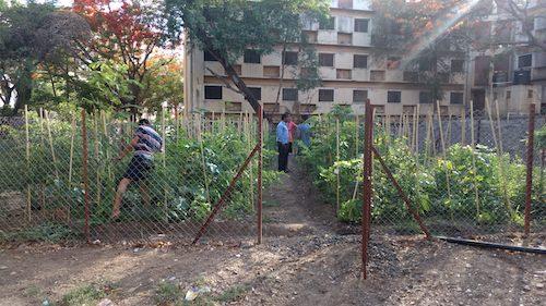 cover image for project: Marathwada Institute of Technology